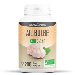 Ail Bulbe bio