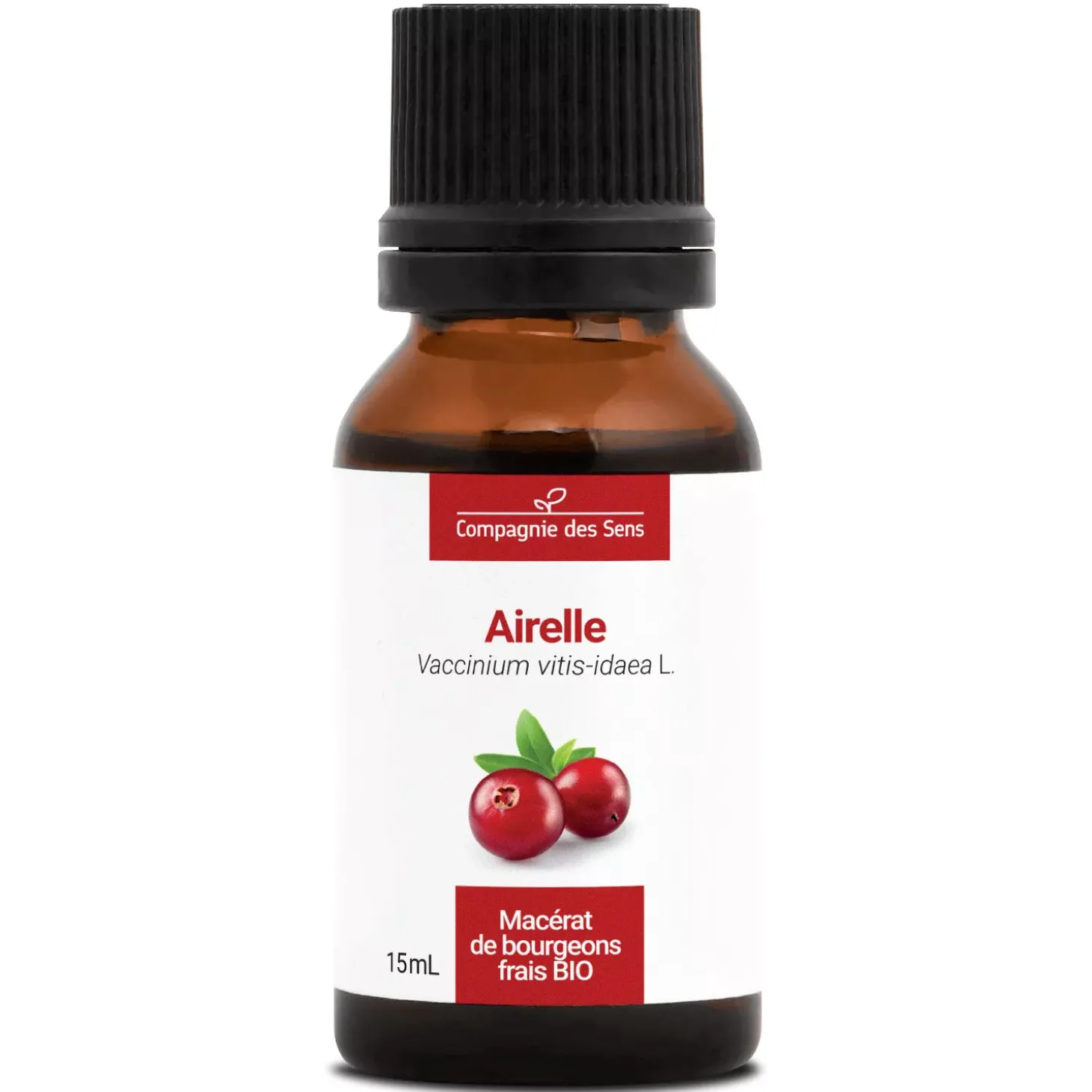 Airelle bio (Vaccinium Vitis-Idaea) – Macérat concentré de bourgeons frais