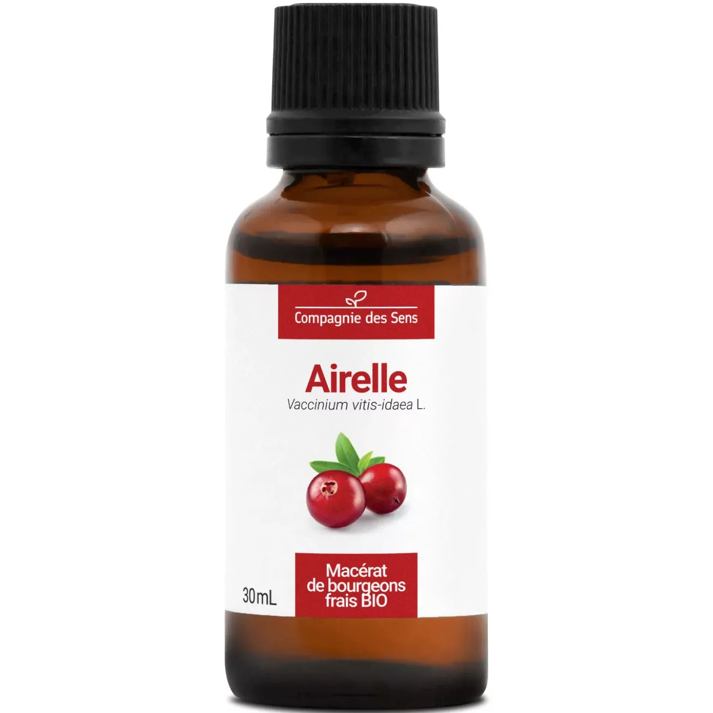 Airelle bio (Vaccinium Vitis-Idaea) – Macérat concentré de bourgeons frais