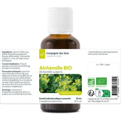 Alchémille bio (Alchemilla Vulgaris) – Extrait hydroalcoolique concentré
