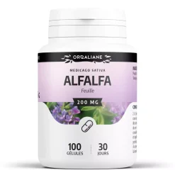 Alfalfa (Luzerne)