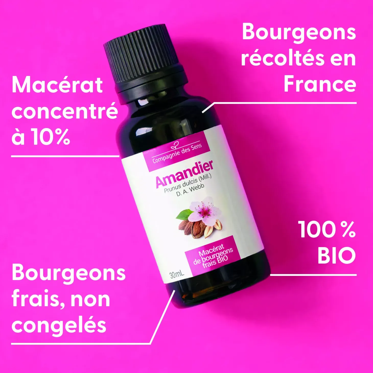 Amandier bio (Prunus Dulcis) – Macérat concentré de bourgeons frais