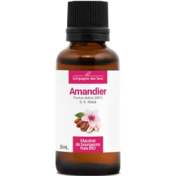 Amandier bio (Prunus Dulcis) – Macérat concentré de bourgeons frais