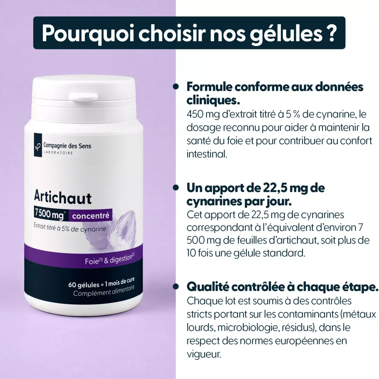 Artichaut concentré