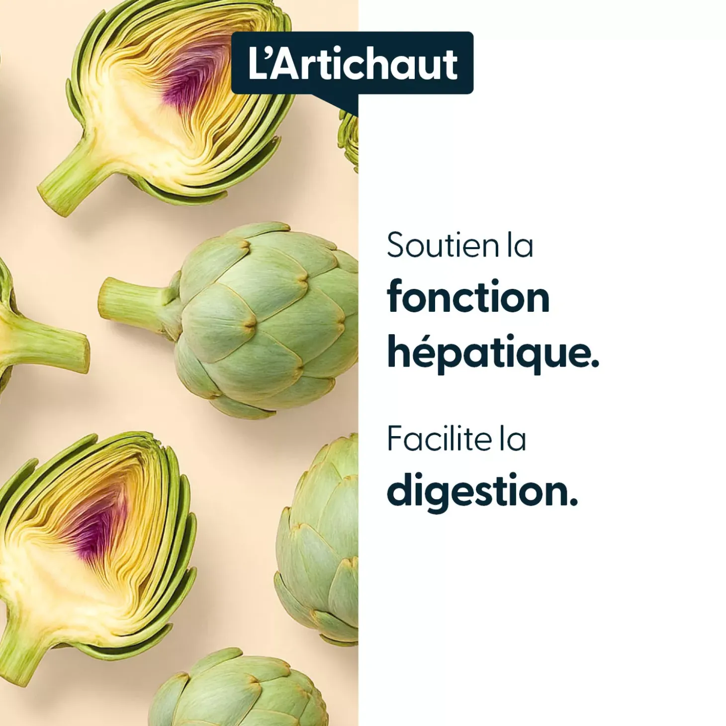 Artichaut concentré