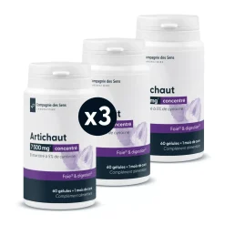 Artichaut concentré