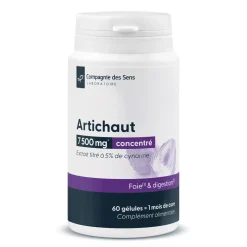 Artichaut concentré