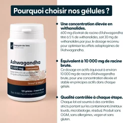 Ashwagandha concentré