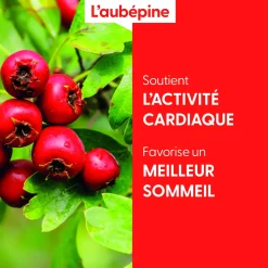 Aubépine bio (Crataegus Laevigata) – Macérat concentré de bourgeons frais