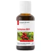 Aubépine bio (Crataegus Monogyna) – Extrait hydroalcoolique concentré