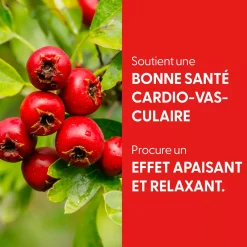 Aubépine bio (Crataegus Monogyna) – Extrait hydroalcoolique concentré