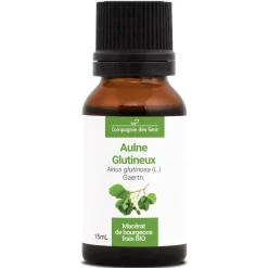 Aulne Glutineux bio (Alnus Glutinosa) – Macérat concentré de bourgeons frais