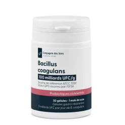 Bacillus coagulans