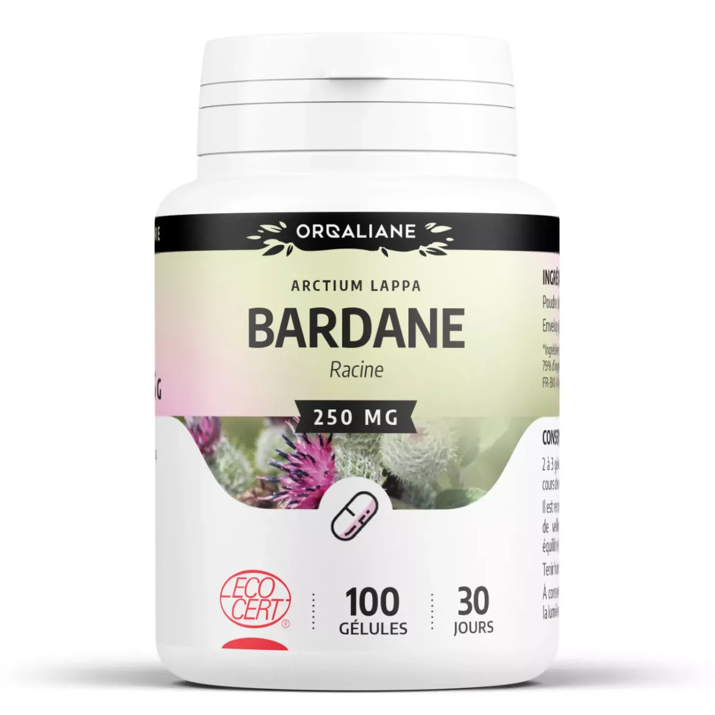 Bardane bio