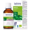 Basilic bio – Ocimum Basilicum – Extrait hydroalcoolique concentré