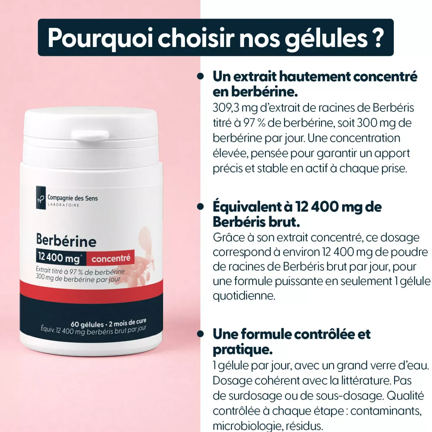 Berbérine concentrée