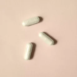 Bifidobacterium animalis lactis