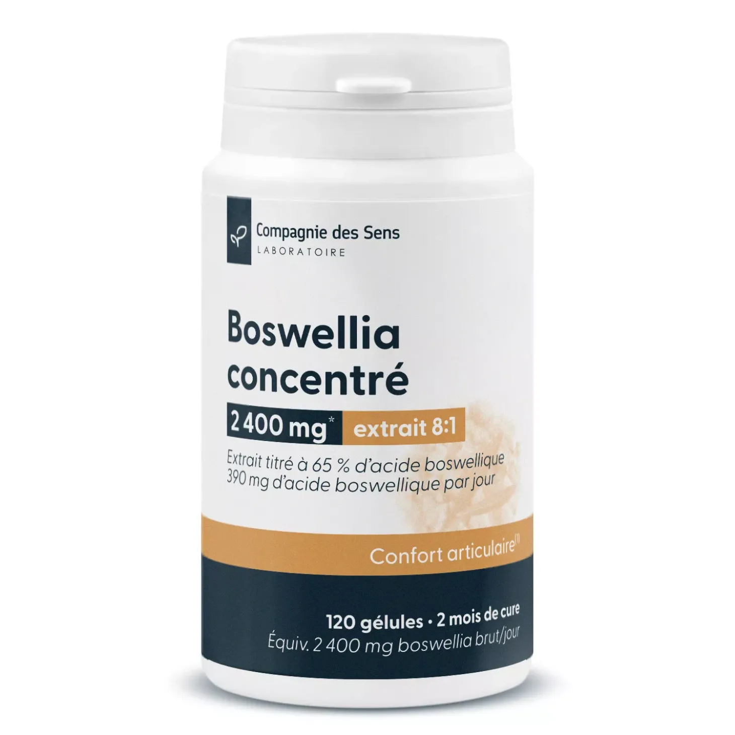 Boswellia concentré