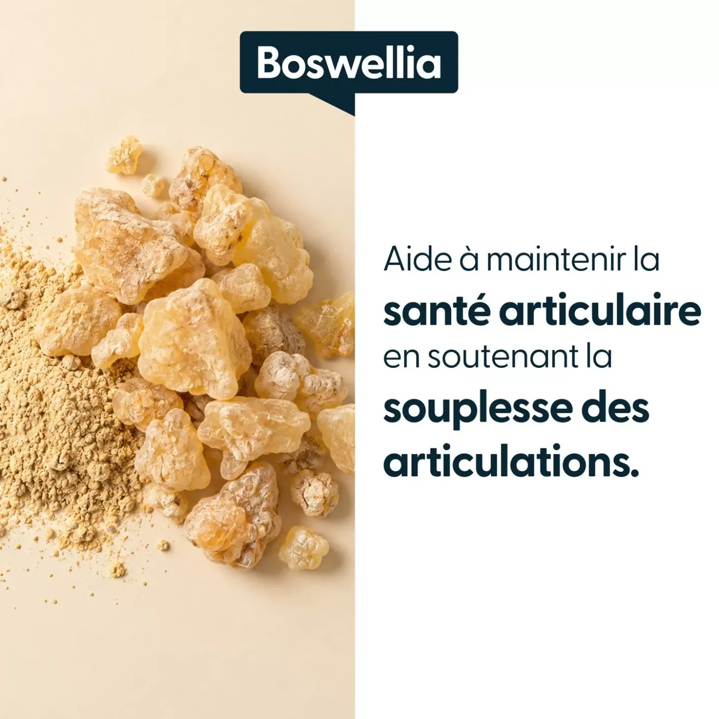Boswellia concentré