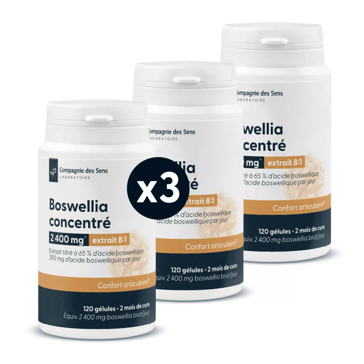 Boswellia concentré