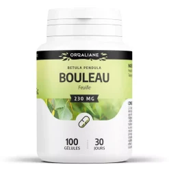 Bouleau – Betula pendula – 100 gélules de 230 mg