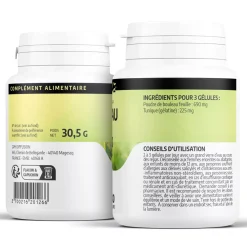 Bouleau – Betula pendula – 100 gélules de 230 mg