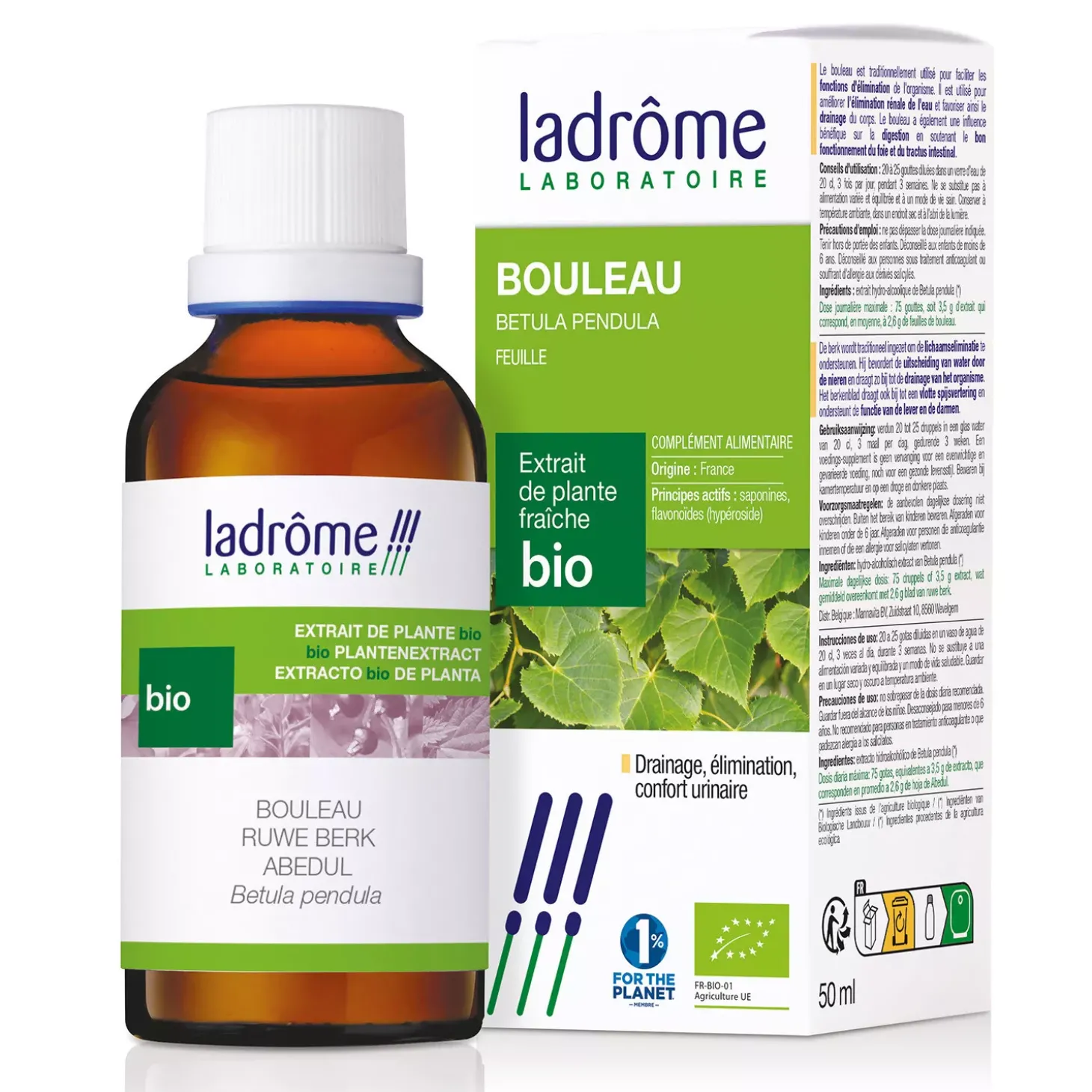 Bouleau bio – Betula Pendula – Extrait hydroalcoolique concentré