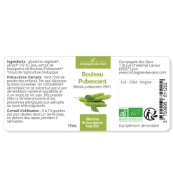 Bouleau Pubescent bio (Betula Pubescens) – Macérat concentré de bourgeons frais