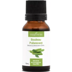 Bouleau Pubescent bio (Betula Pubescens) – Macérat concentré de bourgeons frais