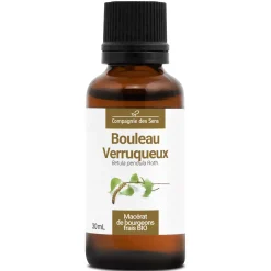 Bouleau Verruqueux bio (Betula Pendula) – Macérat concentré de bourgeons frais
