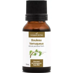 Bouleau Verruqueux bio (Betula Pendula) – Macérat concentré de bourgeons frais