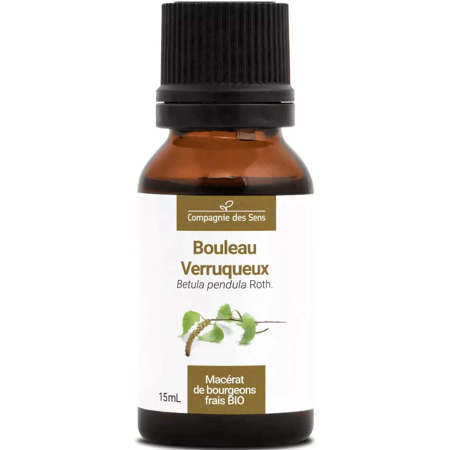 Bouleau Verruqueux bio (Betula Pendula) – Macérat concentré de bourgeons frais