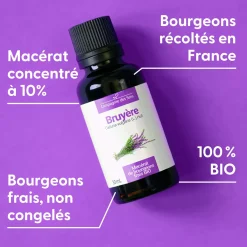 Bruyère bio (Calluna Vulgaris) – Macérat concentré de bourgeons frais