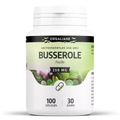 Busserole (Raisin d'Ours) – Arctostaphylos uva-ursi – 100 gélules de 250 mg