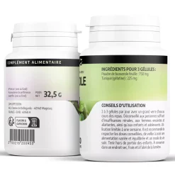 Busserole (Raisin d'Ours) – Arctostaphylos uva-ursi – 100 gélules de 250 mg