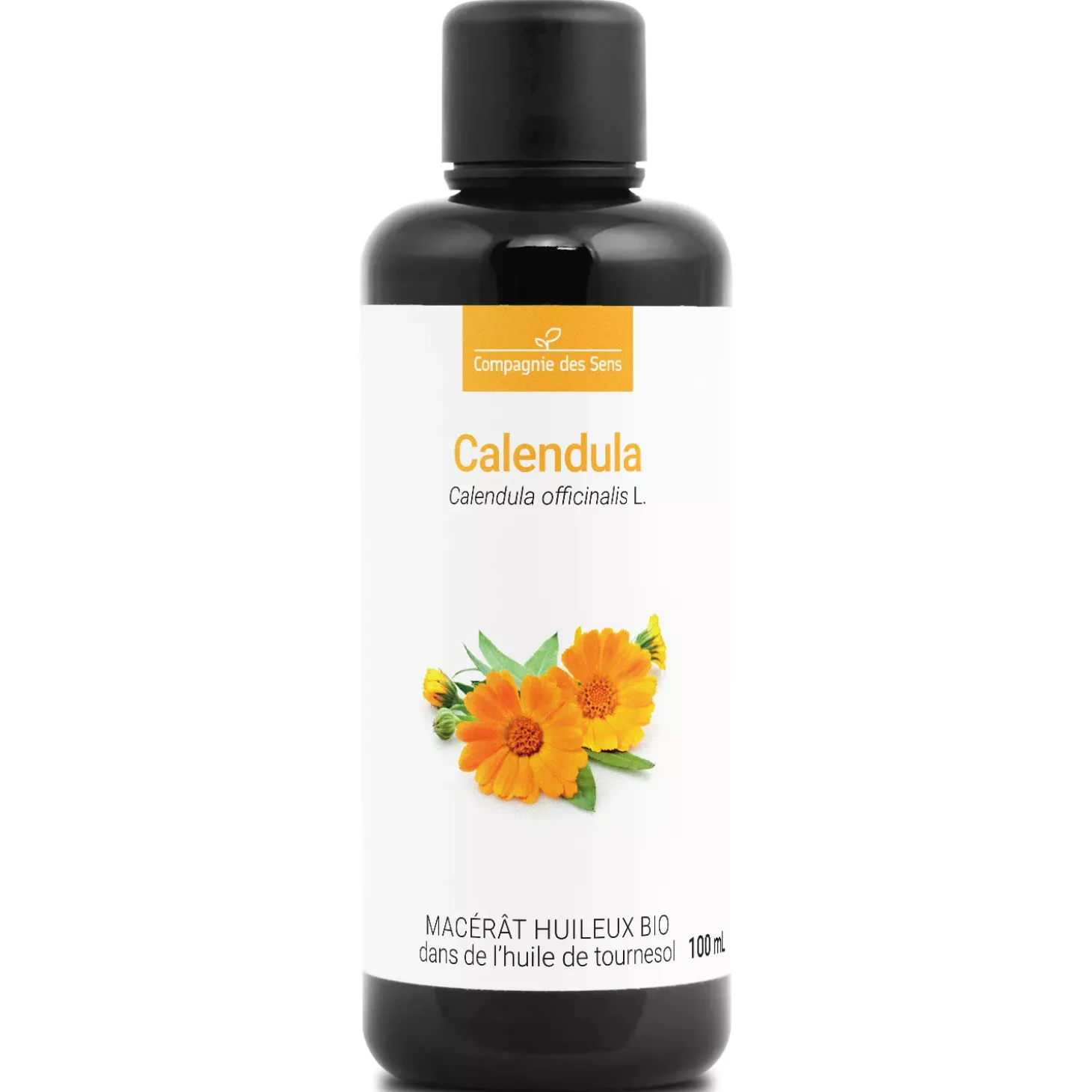 Calendula