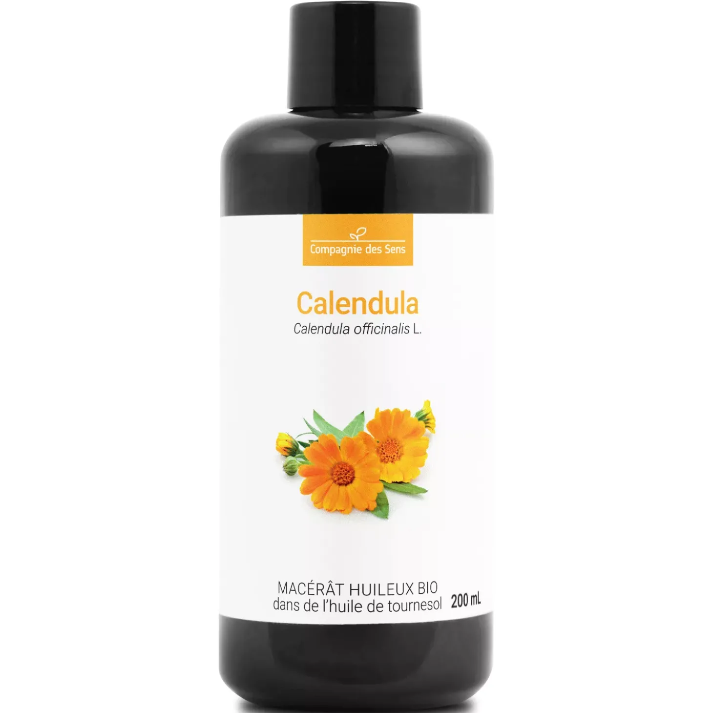 Calendula