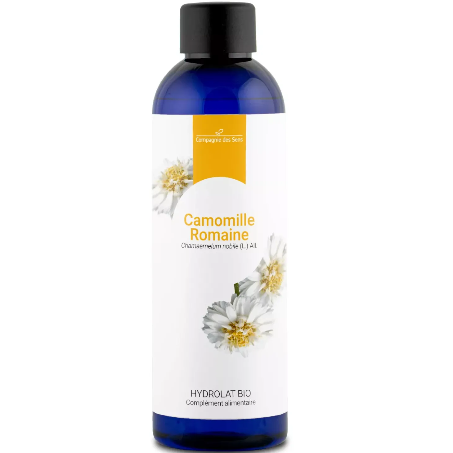 Camomille romaine