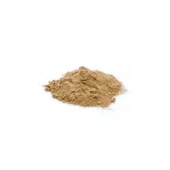 Camu-Camu bio (en poudre)