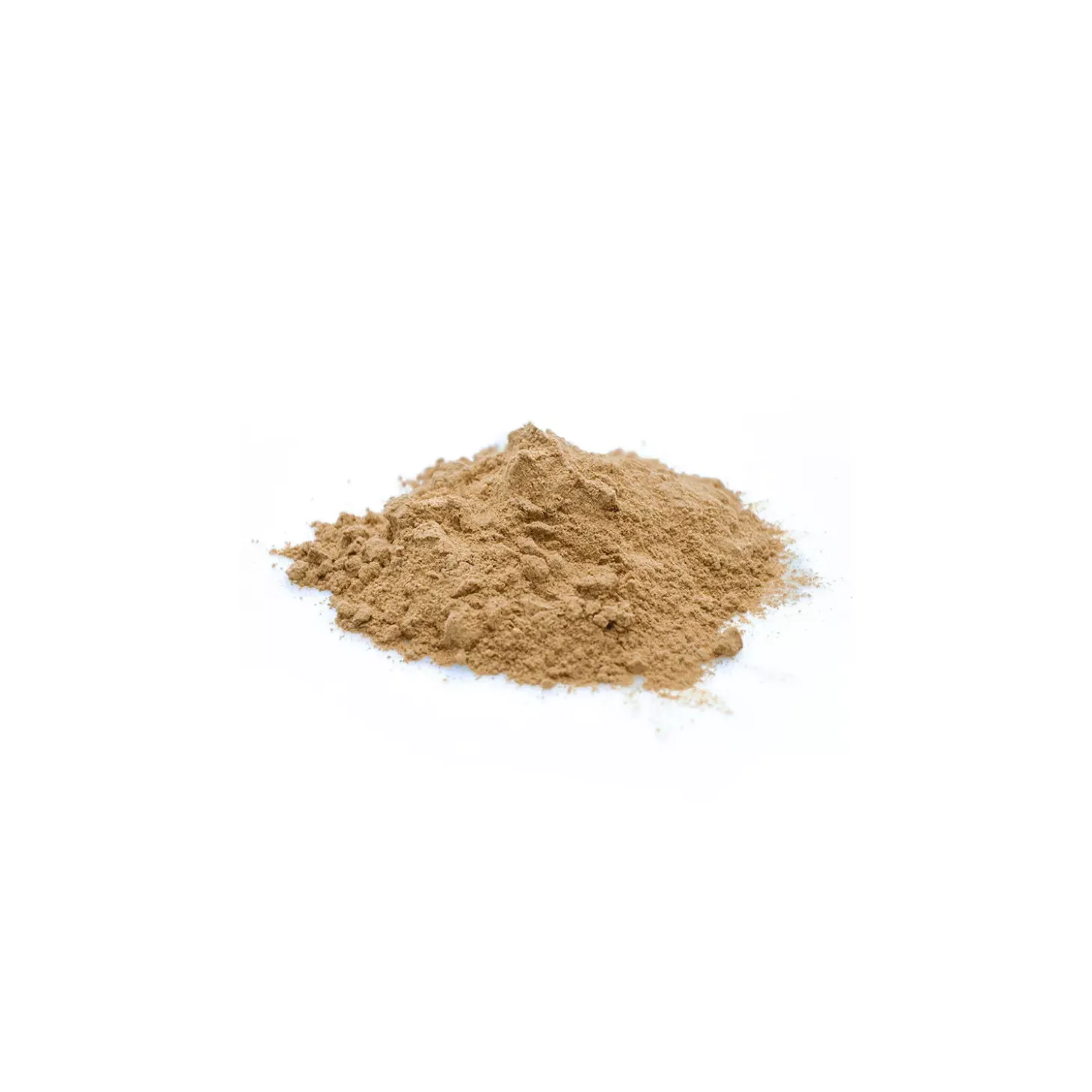 Camu-Camu bio (en poudre)