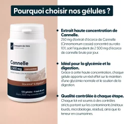 Cannelle concentrée