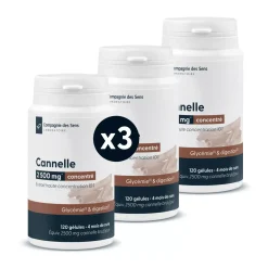 Cannelle concentrée