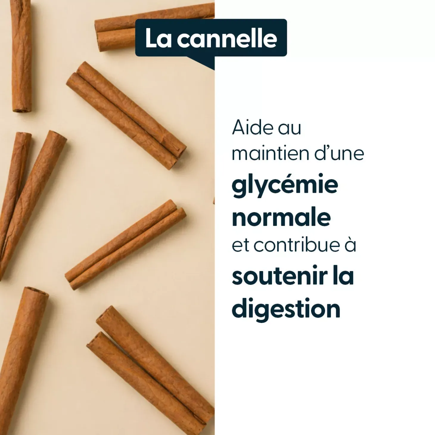 Cannelle concentrée