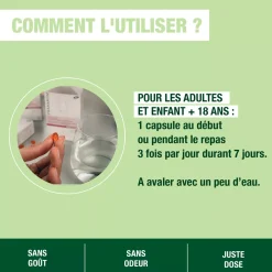 Capsules Origan+ bio – Système Immunitaire – Pranarôm