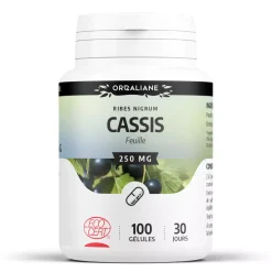 Cassis bio