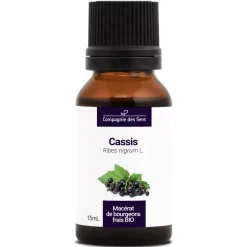 Cassis bio (Ribes Nigrum) – Macérat concentré de bourgeons frais