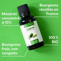 Charme bio (Carpinus Betulus) – Macérat concentré de bourgeons frais