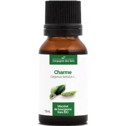 Charme bio (Carpinus Betulus) – Macérat concentré de bourgeons frais