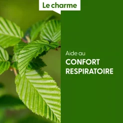 Charme bio (Carpinus Betulus) – Macérat concentré de bourgeons frais