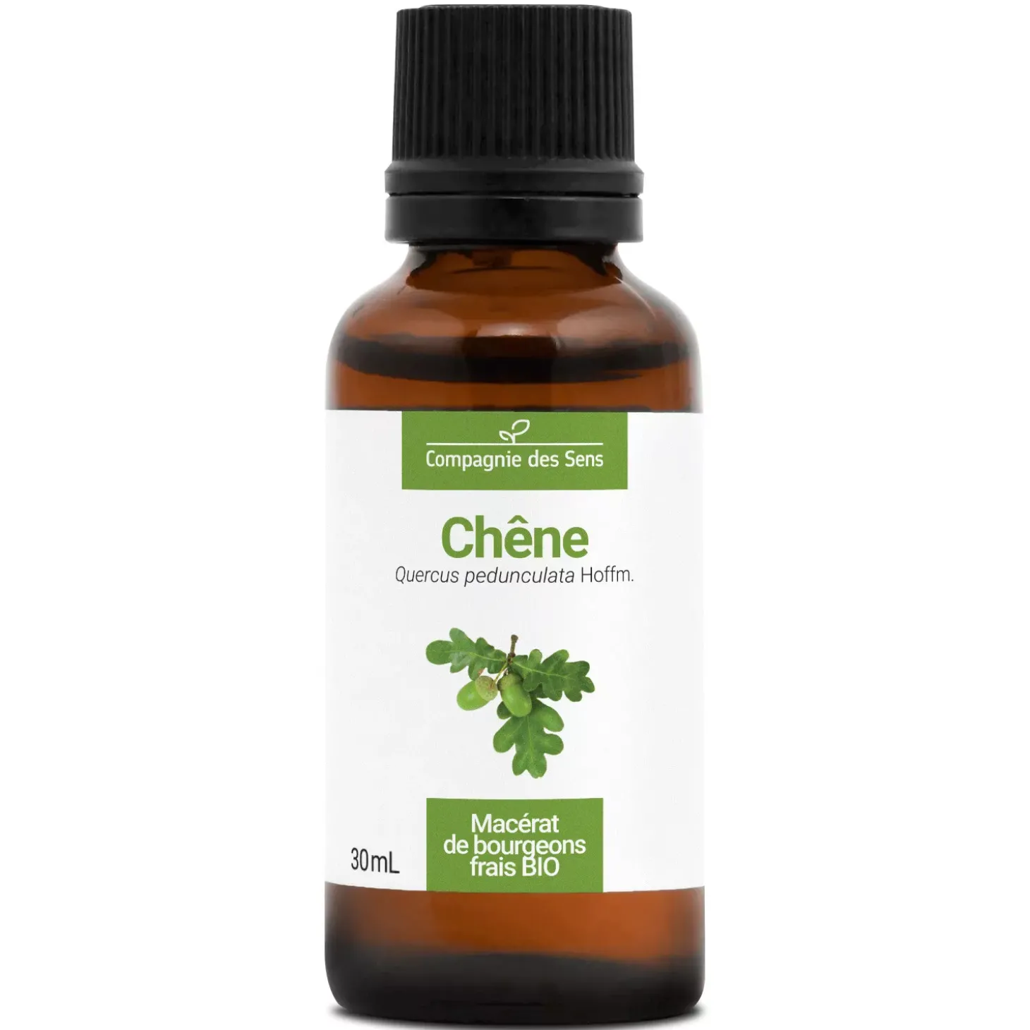 Chêne bio (Quercus Pedunculata) – Macérat concentré de bourgeons frais